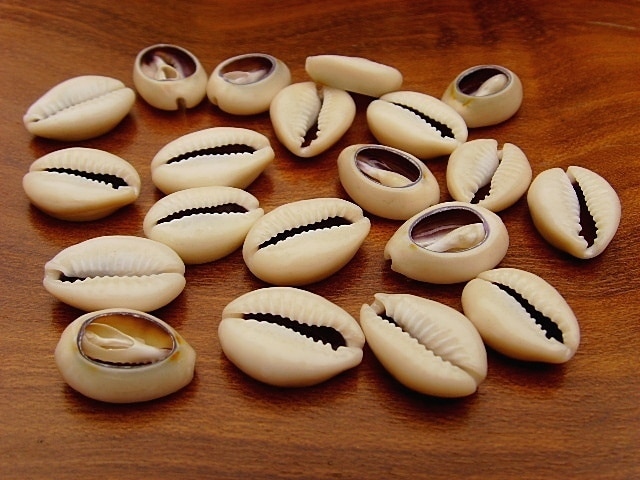 divination cauris