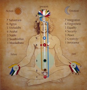 les chakras