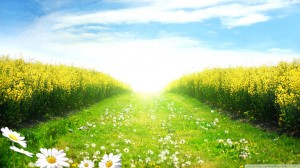 Chemin de vie 22