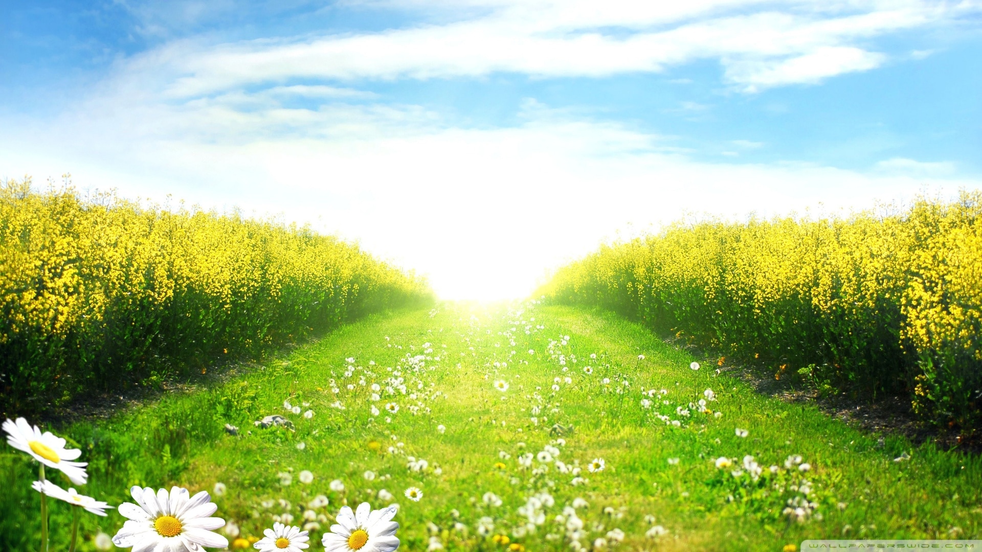 Chemin de vie 22