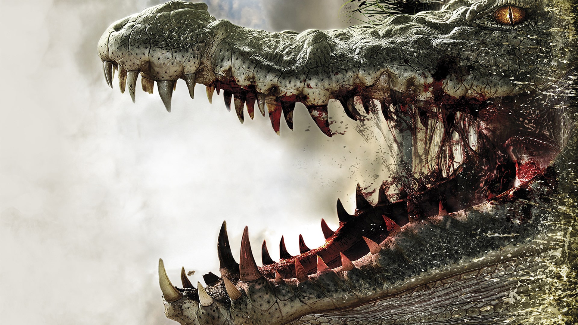 alligator