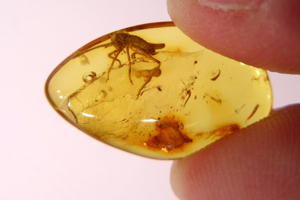Propriétés de l'ambre. Divinatix