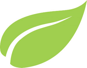 icon-feuille-vert