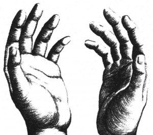 Chiromancie la forme des mains