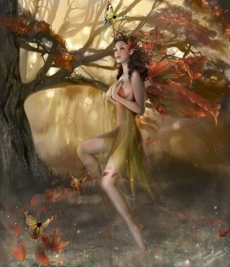 libellule et nymphe
