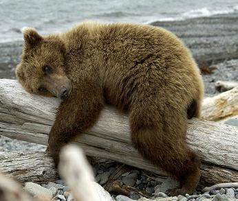 ours