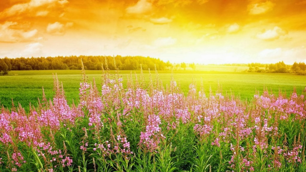 été