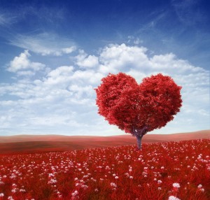 amour et couple