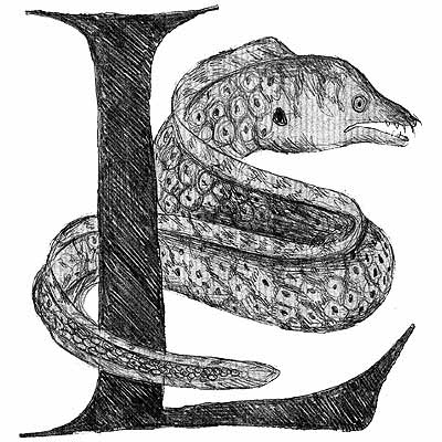 numérologie lettre L