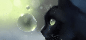 superstition sur les chats
