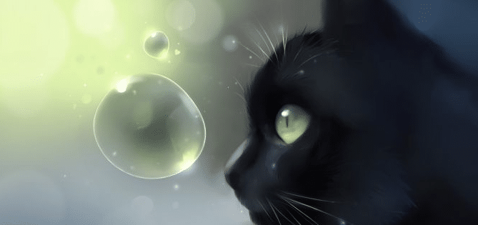 superstition sur les chats