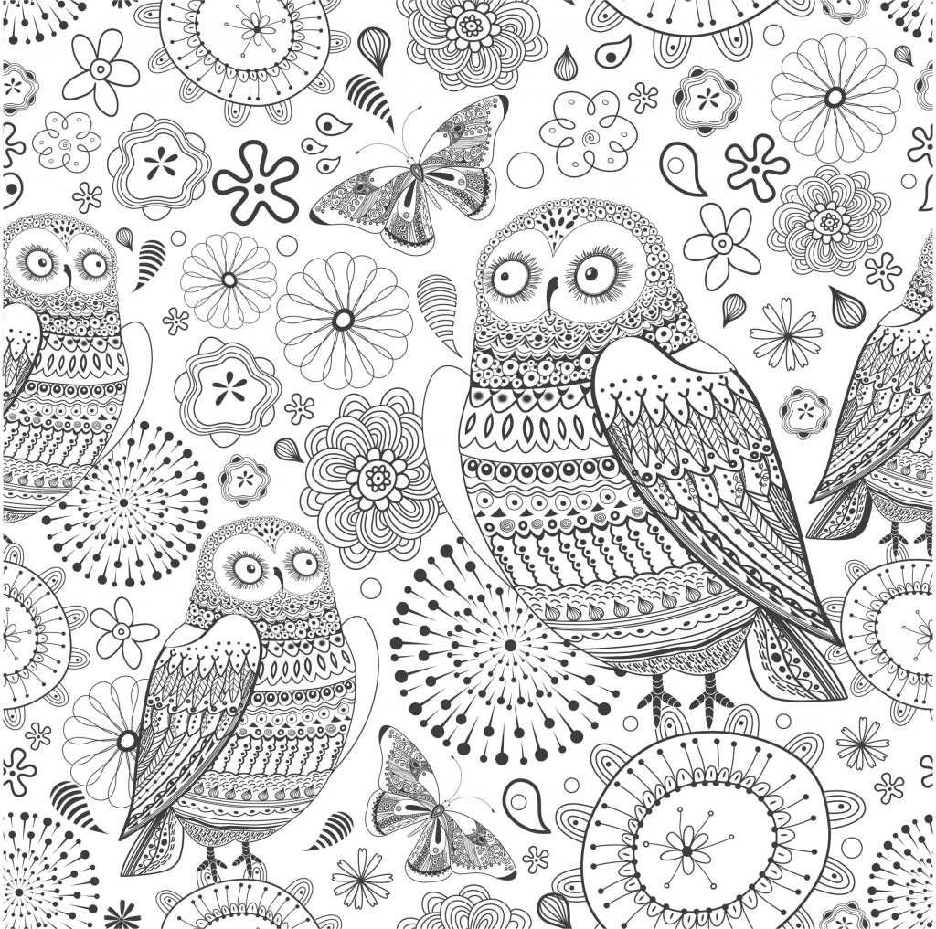 hibou coloriage