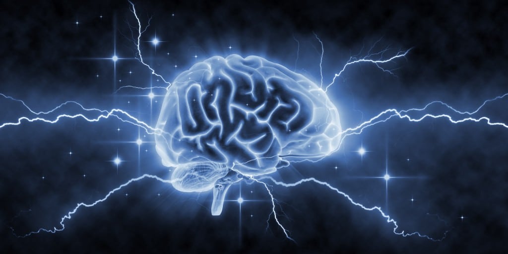 o-CERVEAU-facebook