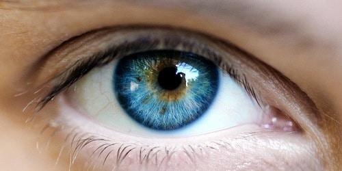 yeux-bleus1