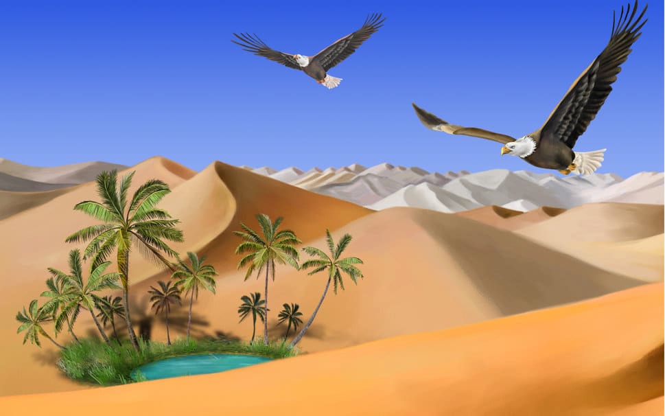 109360__desert-sand-eagles-oasis_p