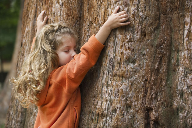 toucher du bois enfant arbre