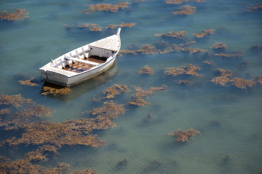 barque-abandonnee
