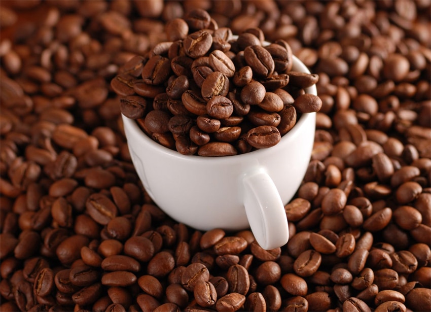 comment lire dans le café