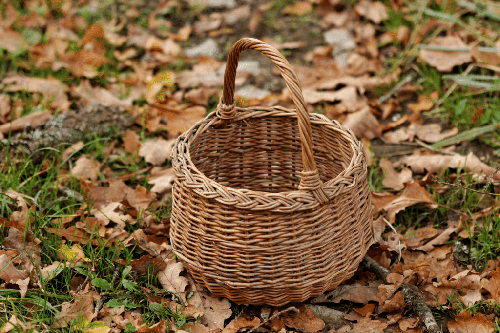 panier