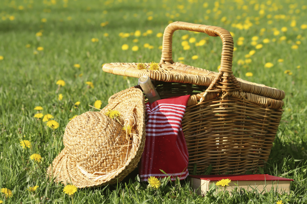picnic
