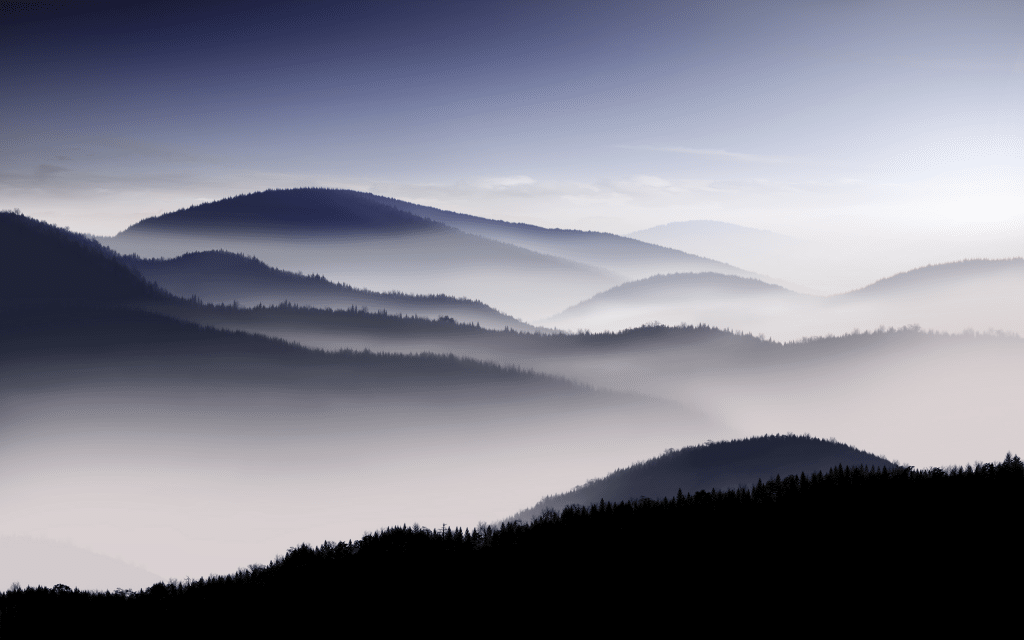 brouillard 1