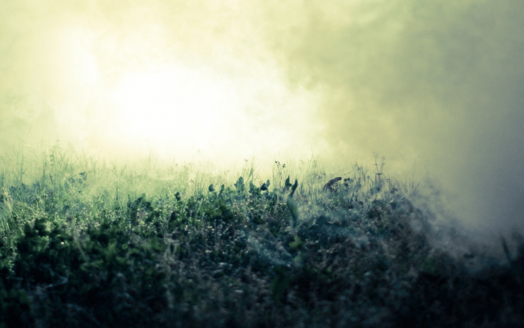 brouillard