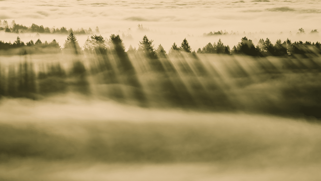 brouillard 2