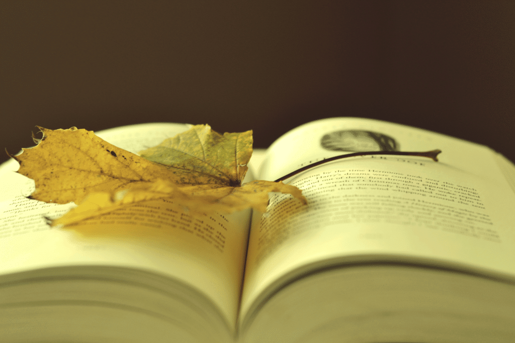 LIRE