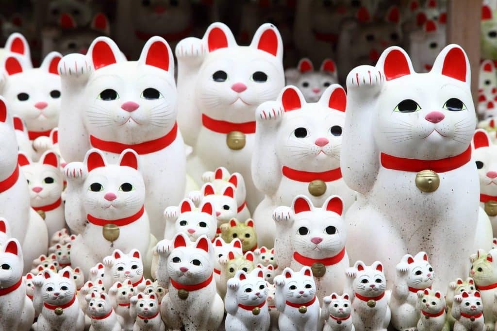 chat japonais qui lève la patte